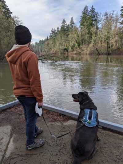Jurgens Dog Park - Tualatin, OR