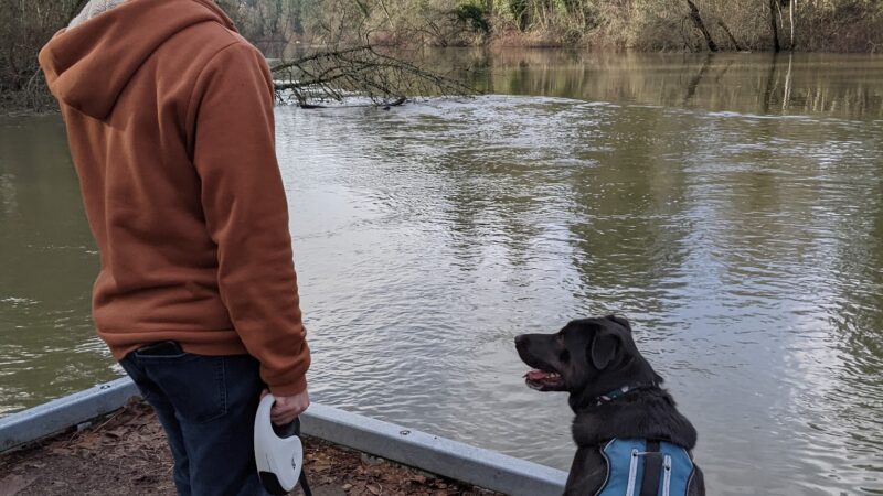 Jurgens Dog Park - Tualatin, OR