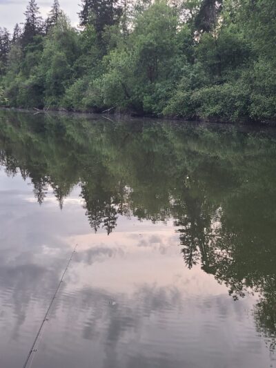 Jurgens Dog Park - Tualatin, OR