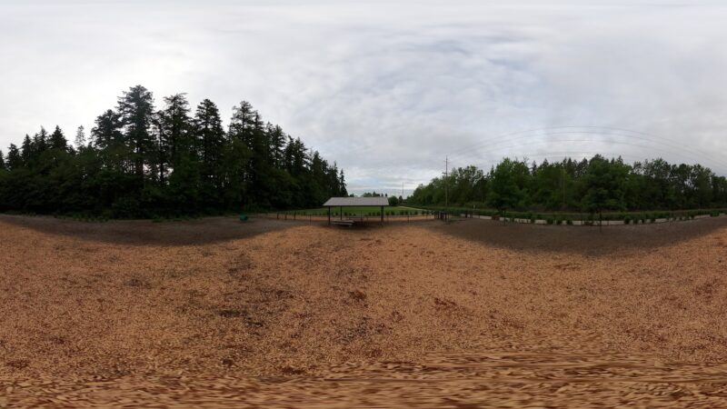 Tualatin Dog Park - Tualatin, OR