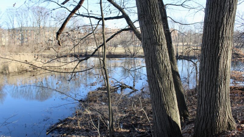 Park - Tuckahoe, NY