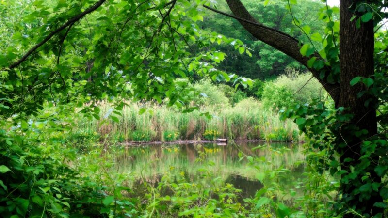Park - Tuckahoe, NY