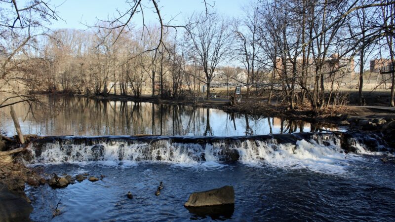 Park - Tuckahoe, NY