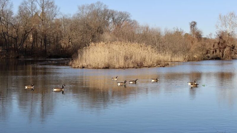 Park - Tuckahoe, NY