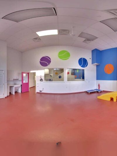 Paws & Play Pet Resort and Training Center - Tuckahoe, NY