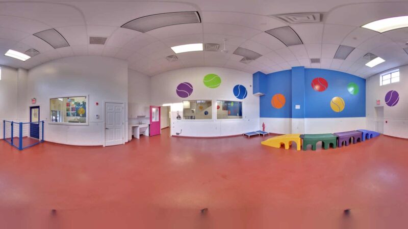 Paws & Play Pet Resort and Training Center - Tuckahoe, NY