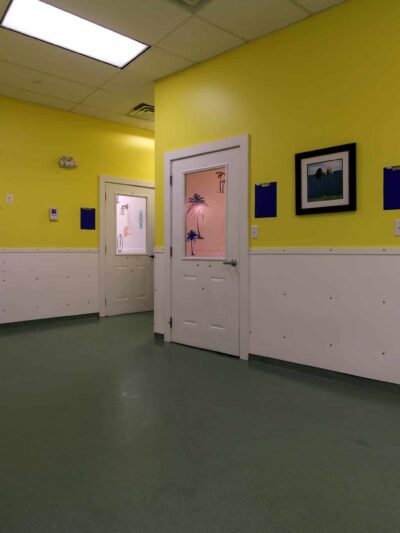 Paws & Play Pet Resort and Training Center - Tuckahoe, NY