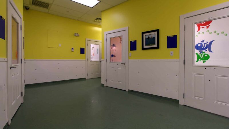 Paws & Play Pet Resort and Training Center - Tuckahoe, NY