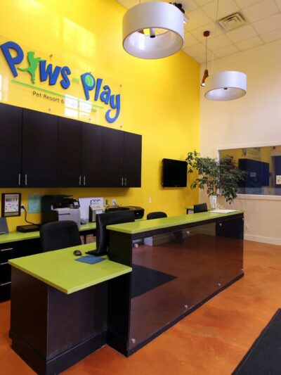 Paws & Play Pet Resort and Training Center - Tuckahoe, NY