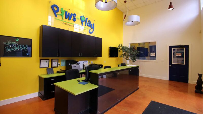 Paws & Play Pet Resort and Training Center - Tuckahoe, NY