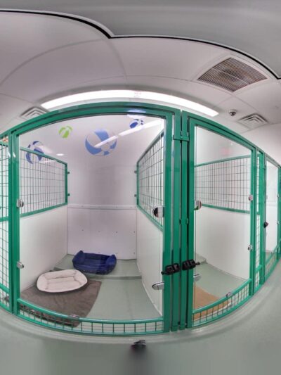 Paws & Play Pet Resort and Training Center - Tuckahoe, NY