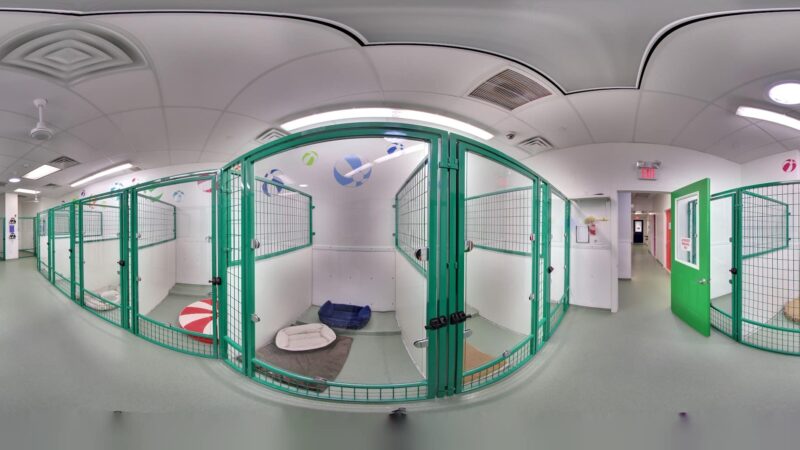 Paws & Play Pet Resort and Training Center - Tuckahoe, NY