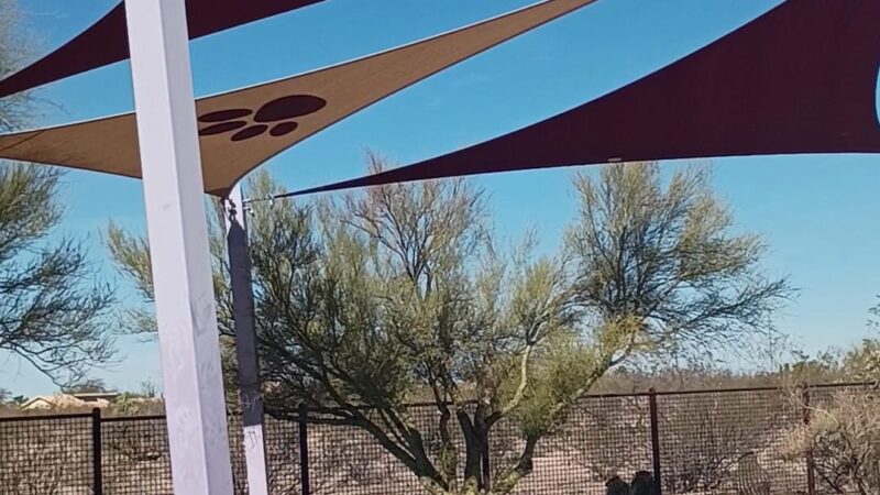 Ivan's Spot Dog Park - Tucson, AZ