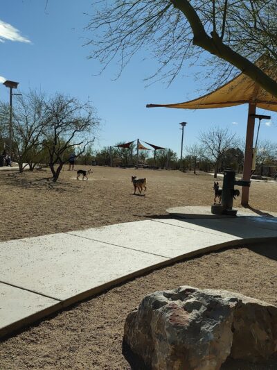 Ivan's Spot Dog Park - Tucson, AZ