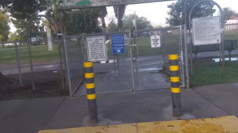 Jacobs Dog Park - Tucson, AZ