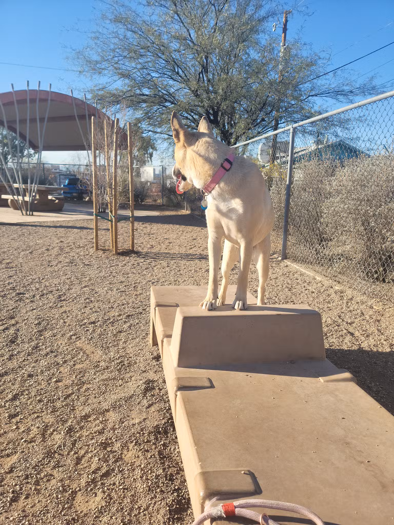 North Sixth Avenue Dog Park - Tucson, AZ