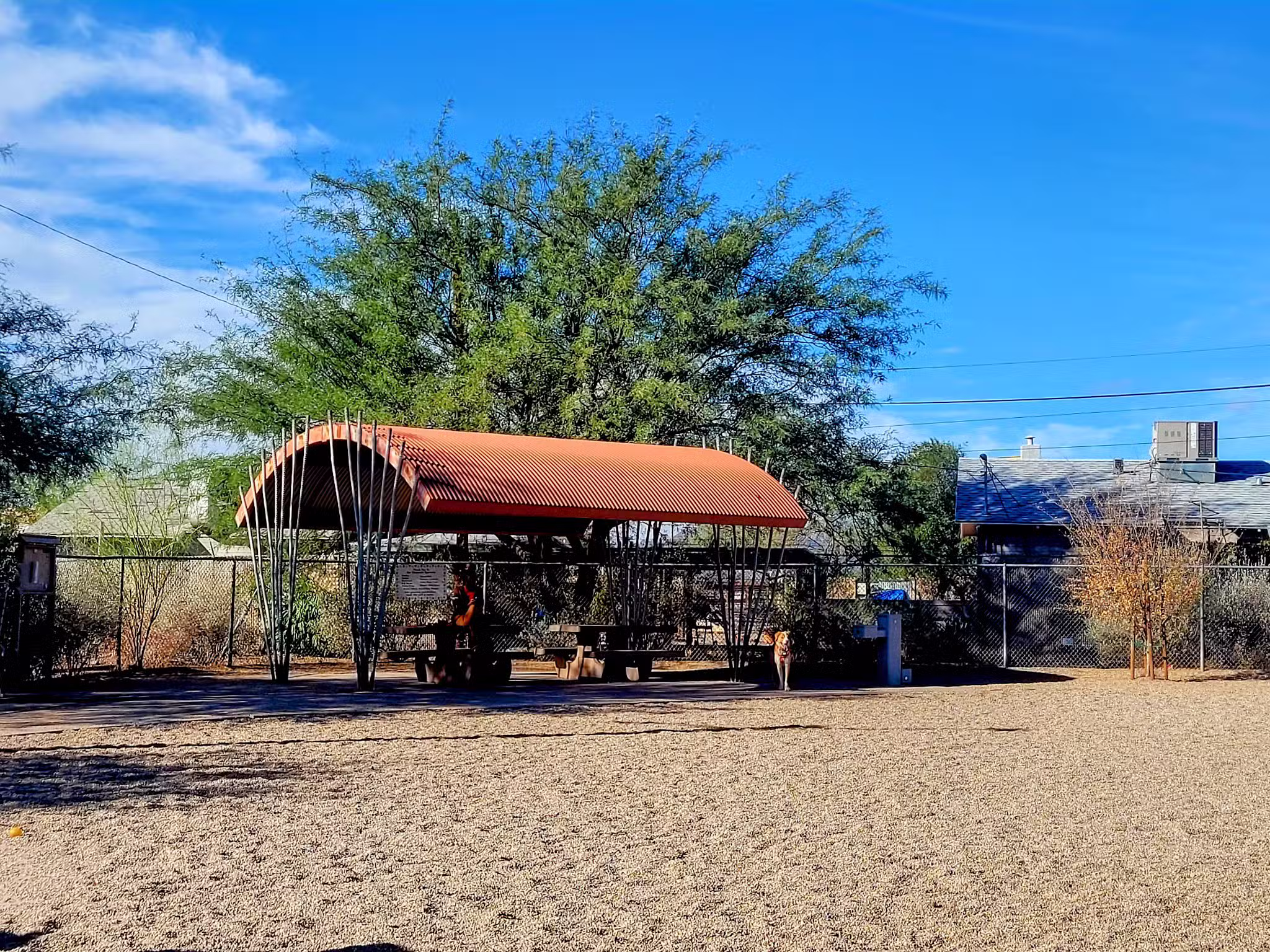 North Sixth Avenue Dog Park - Tucson, AZ