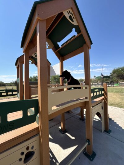 Wagging Tails Dog Park - Tucson, AZ