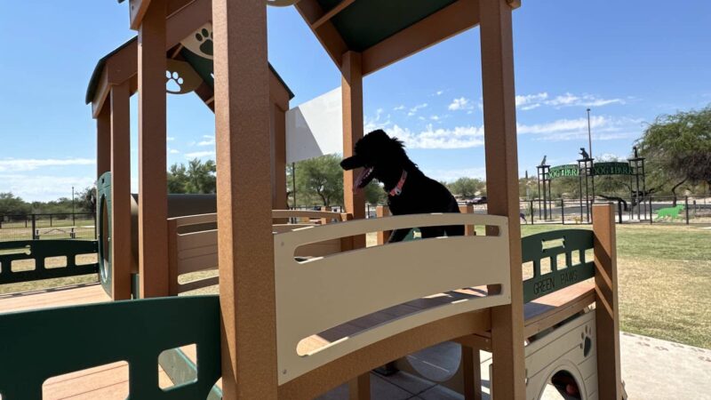 Wagging Tails Dog Park - Tucson, AZ