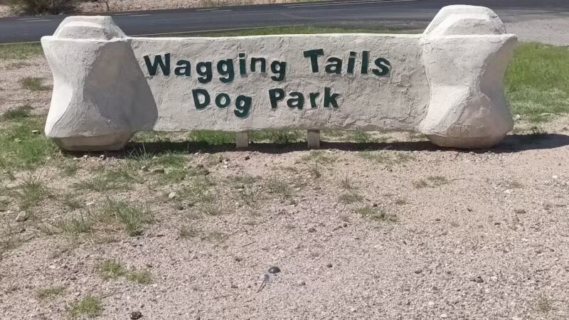Wagging Tails Dog Park - Tucson, AZ