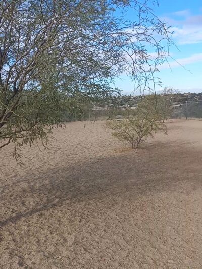 Northwest Community Dog Park - Tucson, AZ
