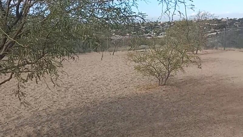Northwest Community Dog Park - Tucson, AZ