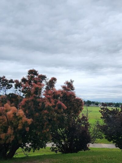 Brookhollow Park - Tulsa, OK
