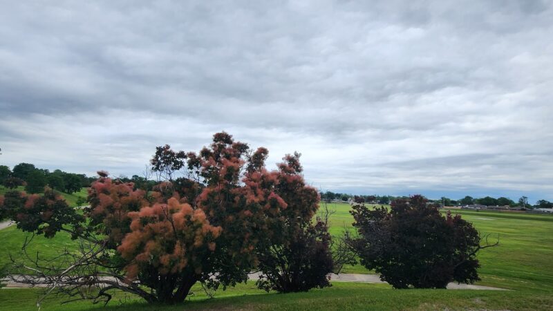 Brookhollow Park - Tulsa, OK