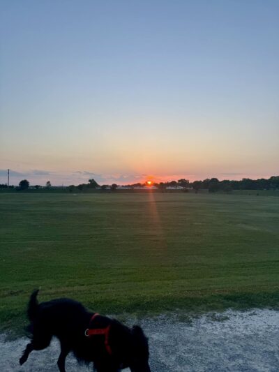 Brookhollow Park - Tulsa, OK