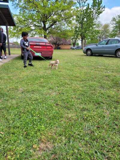 Clark Park - Tulsa, OK