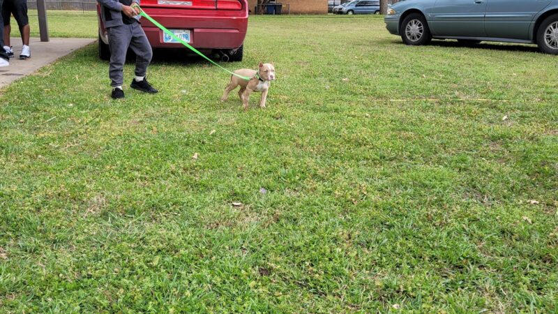 Clark Park - Tulsa, OK