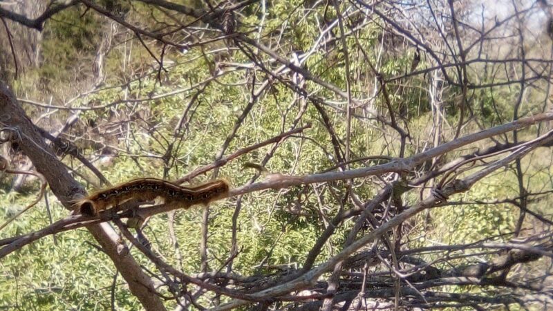 Clark Park - Tulsa, OK