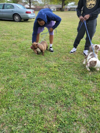 Clark Park - Tulsa, OK