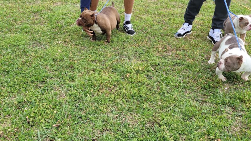 Clark Park - Tulsa, OK