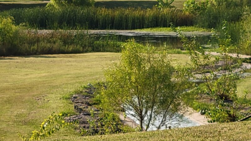 Crescent Park - Tulsa, OK