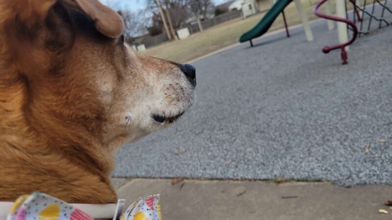 Darlington Park - Tulsa, OK