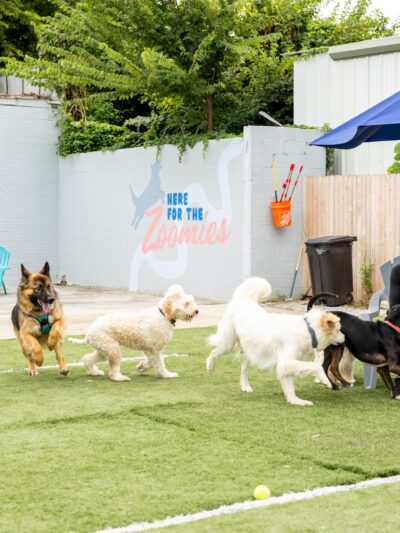 Fetch Social Club - Tulsa, OK