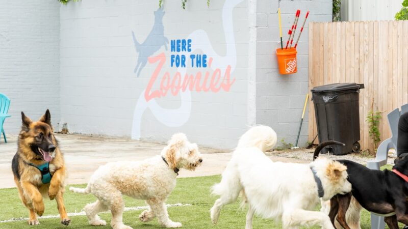 Fetch Social Club - Tulsa, OK