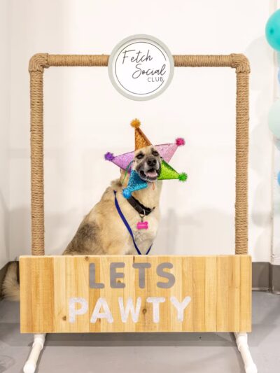 Fetch Social Club - Tulsa, OK