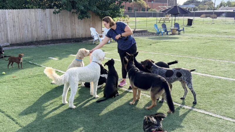 Fetch Social Club - Tulsa, OK