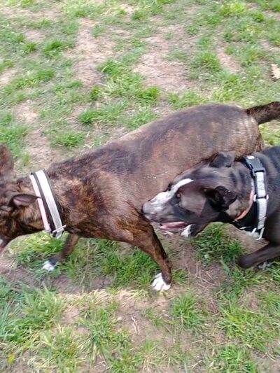 Gunboat Park North - Tulsa, OK