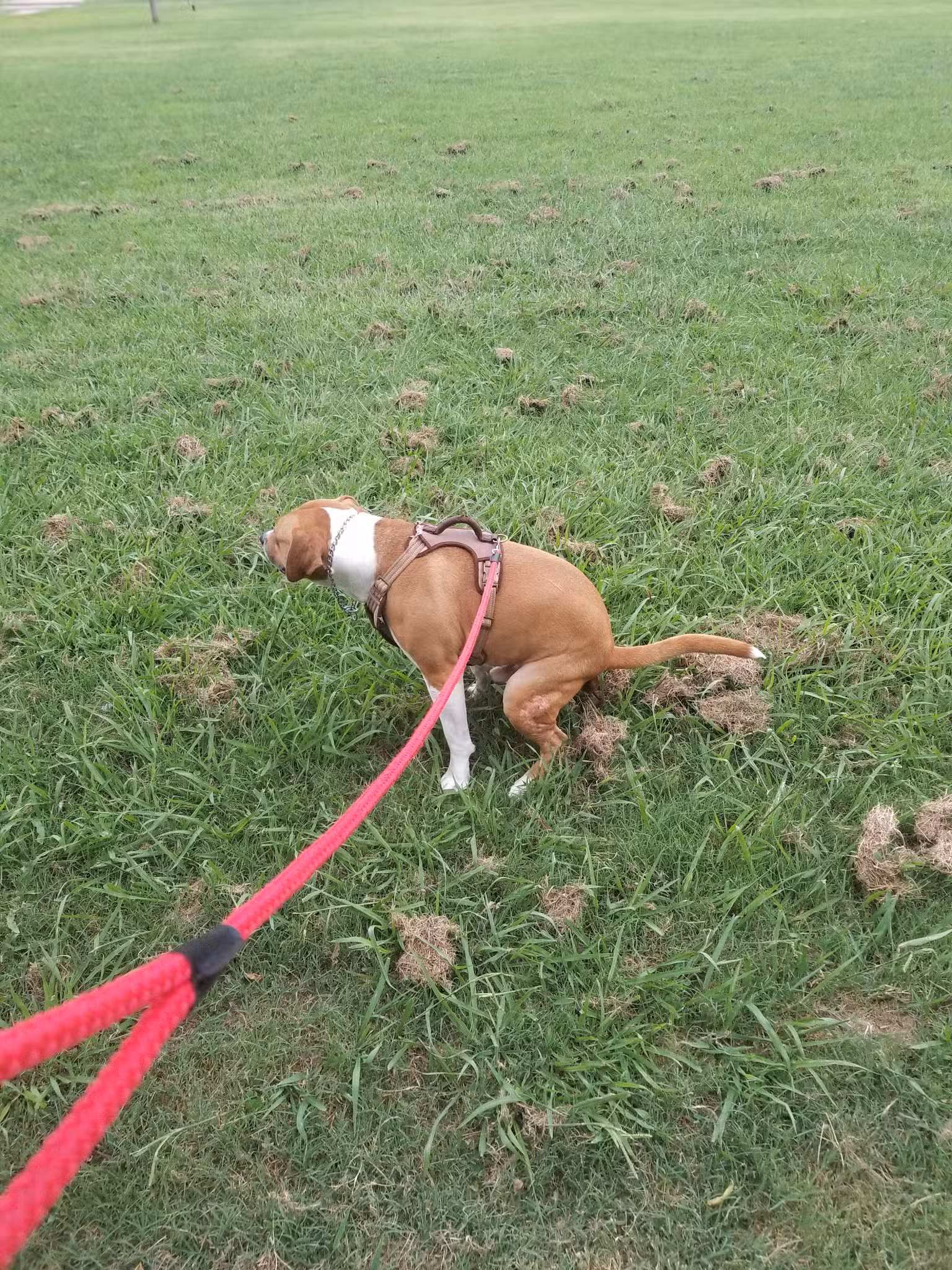 Hansel Johnson Park - Tulsa, OK