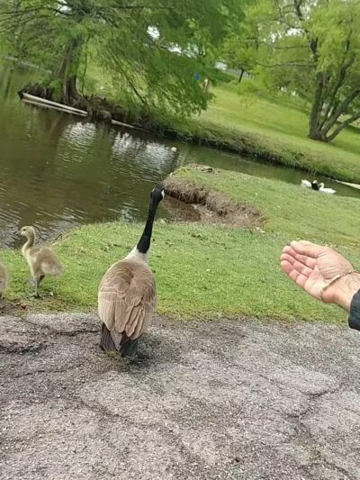 Hunter Park - Tulsa, OK