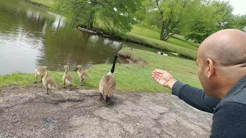 Hunter Park - Tulsa, OK