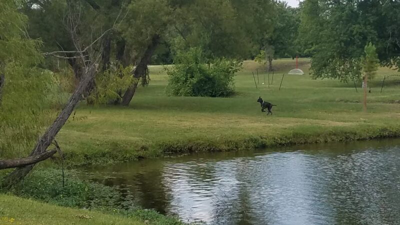 Hunter Park - Tulsa, OK