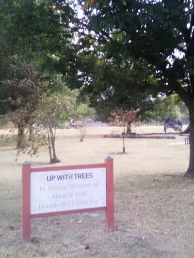 Langenheim Park - Tulsa, OK