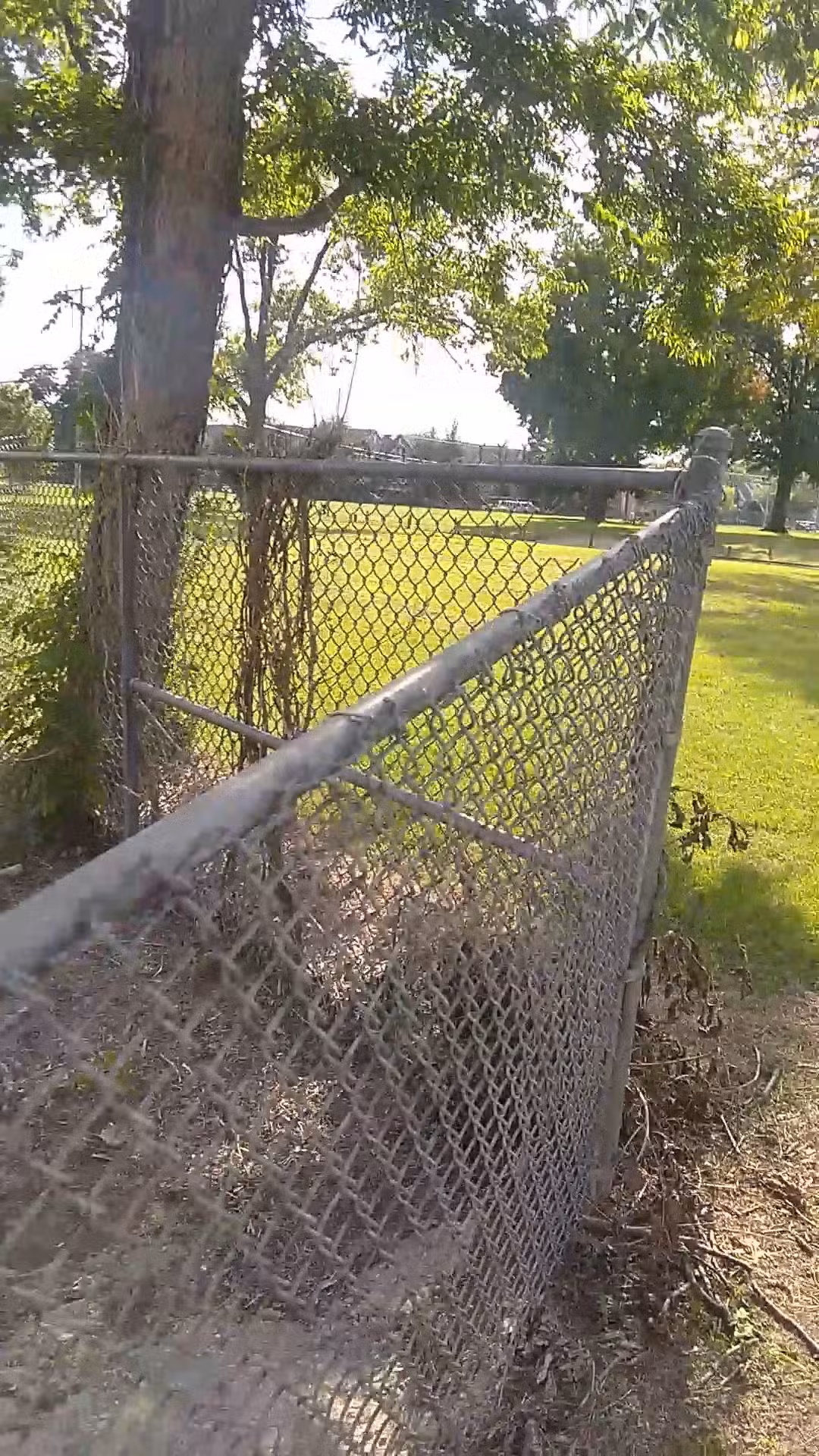 Langenheim Park - Tulsa, OK