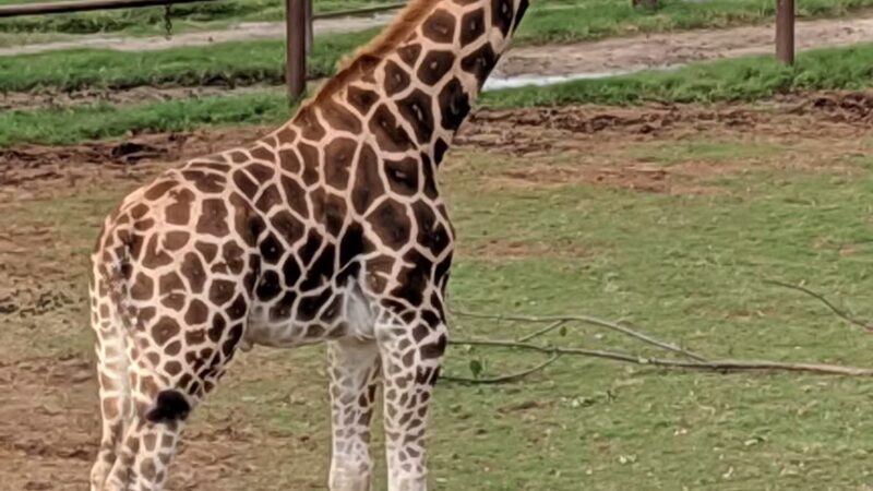 Mohawk Park - Tulsa, OK