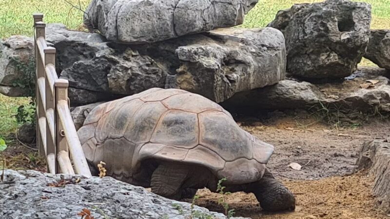 Mohawk Park - Tulsa, OK