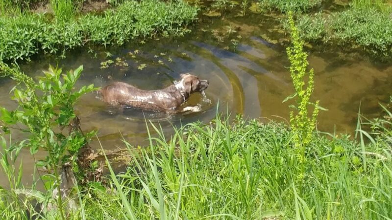 Norberg Park - Tulsa, OK